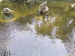 -国恩寺