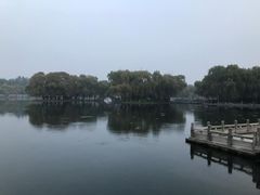 -百脉泉景区