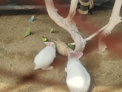 -哈尔滨波塞冬海底世界