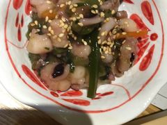 -东菊料理(吉利购物广场店)