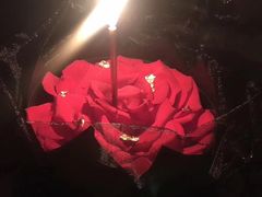 -艾加柒克蛋糕茶歇甜品台(春熙路店)