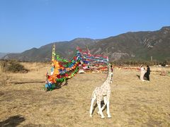 -丽江植物园