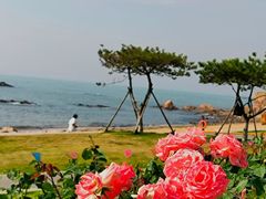 -燕儿岛山公园