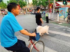 -无影脚佛山陈氏盲公丸始创店(飞鸿街店)