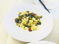 -苏启渔港(云南北路店)