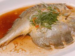 -金汤宴餐厅·粤菜(德云社店)