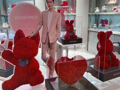 -ROSEONLY诺誓(广州K11店)
