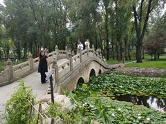 -常家庄园