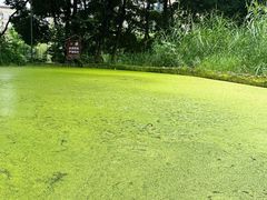 -成都市活水公园