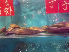 -丰豪烧烤 · 粤式大排档(爱华店)