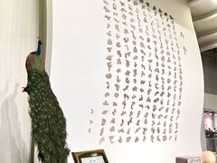 -哈密回王府景区