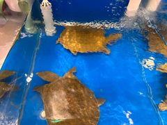 -彭城味道.地道徐州味(怡海花园店)