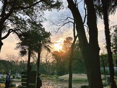-杭州植物园