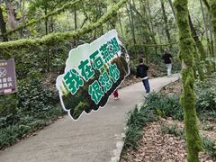 -石燕湖生态旅游景区