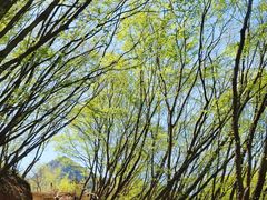 -北京密云天门山风景区