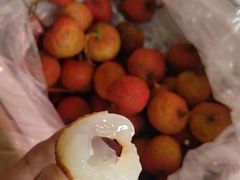 -双福水果批发市场
