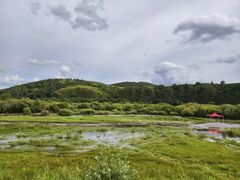 -御道口草原森林风景区
