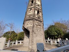 -上海佘山国家森林公园天马山园