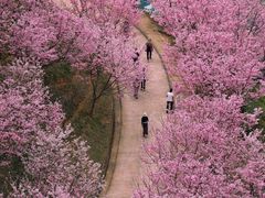 -梅州天地人花园酒店(梅县人民广场店)