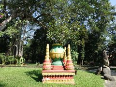 景点-瑞丽独树成林风景区