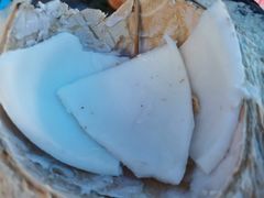 -东寨港红树林旅游区