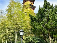 -阿育王寺