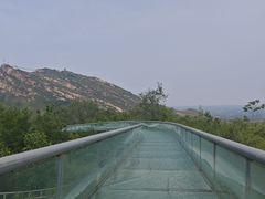 -黄金寨原生态旅游区