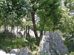 -千岛湖石林