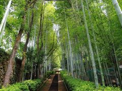 -故乡缘·香格里拉山庄(冷竹路店)