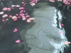-北京美神宫艺术主题温泉酒店
