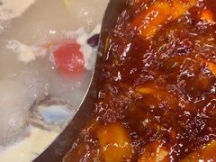 -蜀大侠火锅(森兰花园城店)