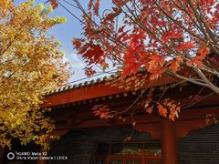 -西宁市人民公园(城西区)