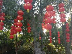 -中澳友谊花园