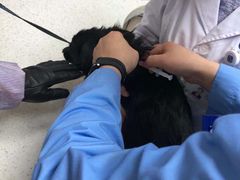 -宠颐生动物医院·小陆分院
