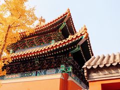 -故宫博物院(故宫)