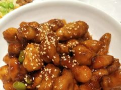 -九毛九西北菜(大东海店)