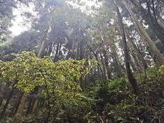 -南岳衡山风景名胜区