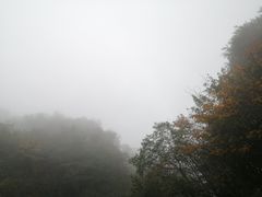 -牛背梁国家森林公园