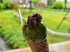 -野草莓自由市场