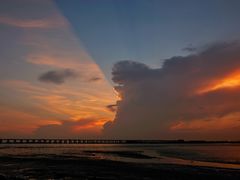 -宝安西湾红树林湿地公园