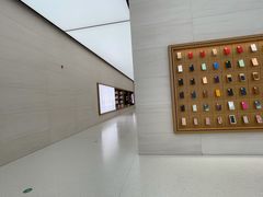 -Apple零售店(苏州店)