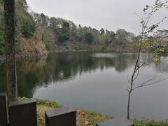 -王借岗森林公园