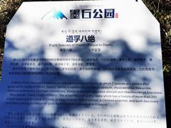 -墨石公园景区