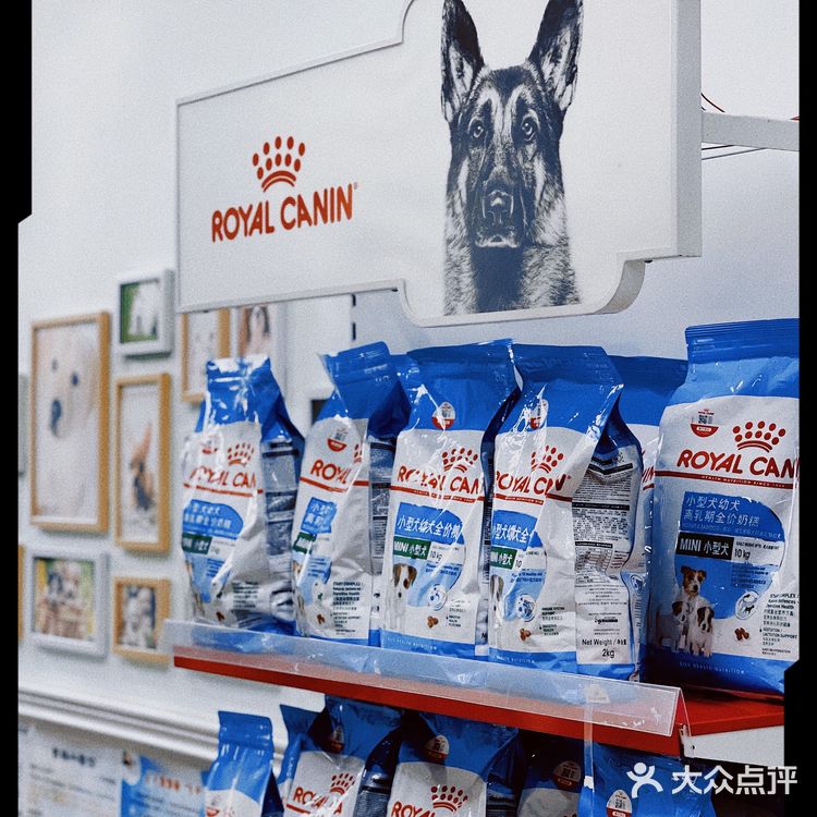 天津探店|唯爱宠物·猫狗专卖（河西店）