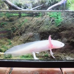 -酷嗒动物文化乐园(cutezoo西溪乐天城店)