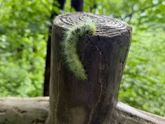 -九鼎铁刹山风景区