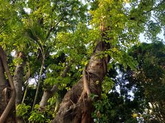 -人民公园(罗湖区)