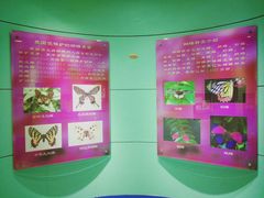 -上海昆虫博物馆