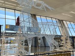 -华盛顿杜勒斯国际机场