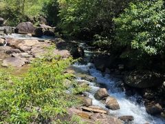 -广州白江湖森林公园